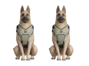 Double the Wag