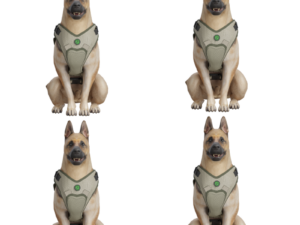 Family Pawtection