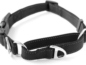 The Kyonia Collar