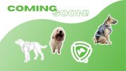 stickermarketing